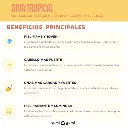 BANNERDIVATROPICAL.webp