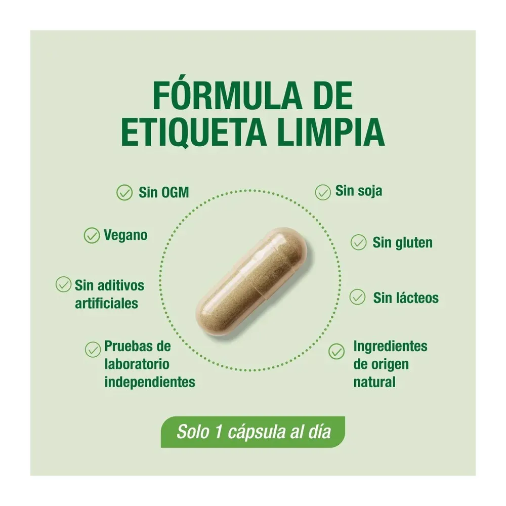 Imagen4.webp