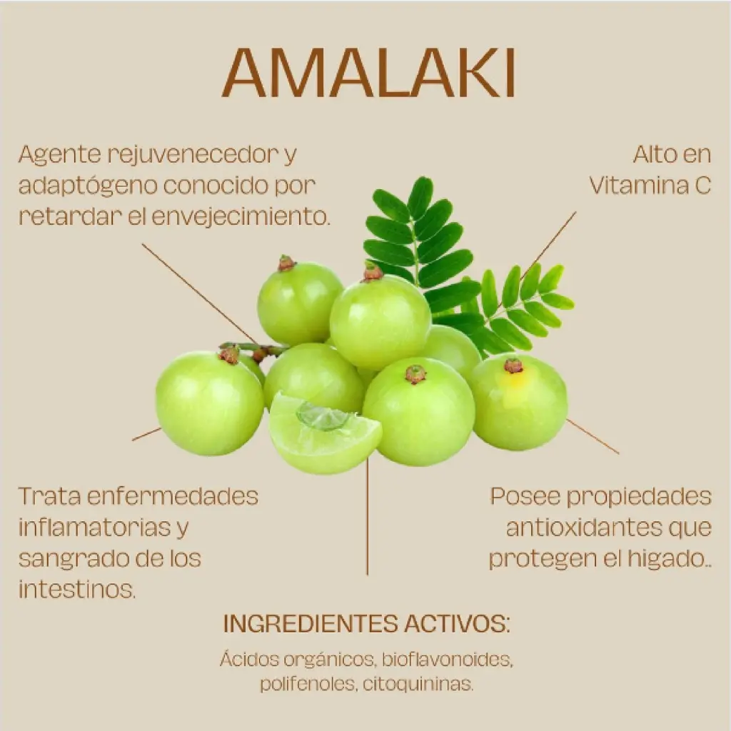 Amalaki.webp