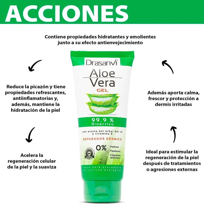 Diseño sin título - 2026-06-02T155457.539.webp