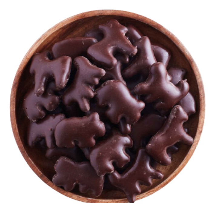 Galletas Cachorritos con chocolate 100gr MNH