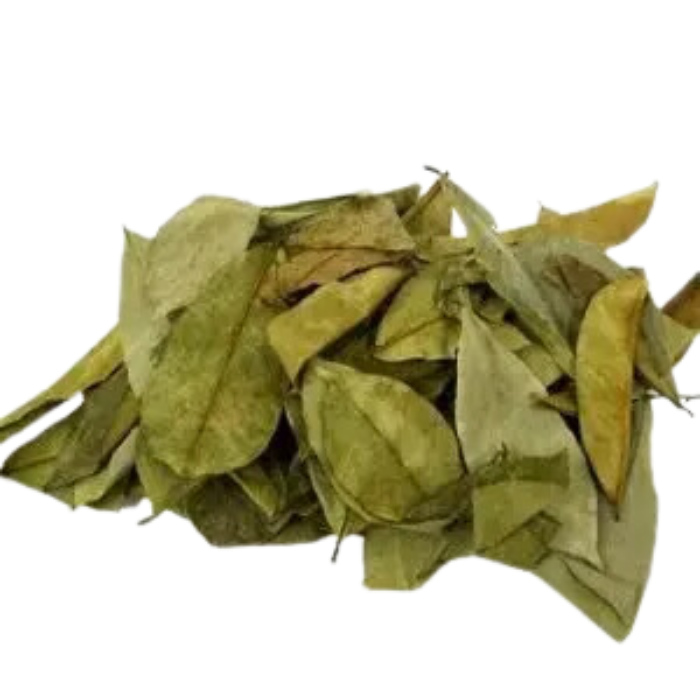 Hojas de Guanánaba 30g H3R