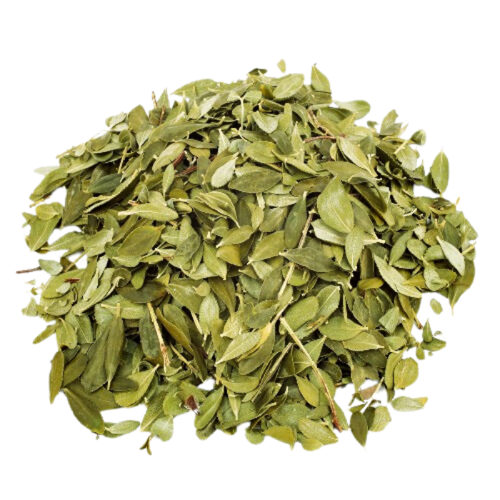 [MNH588] Hojas de Moringa 30 H3R