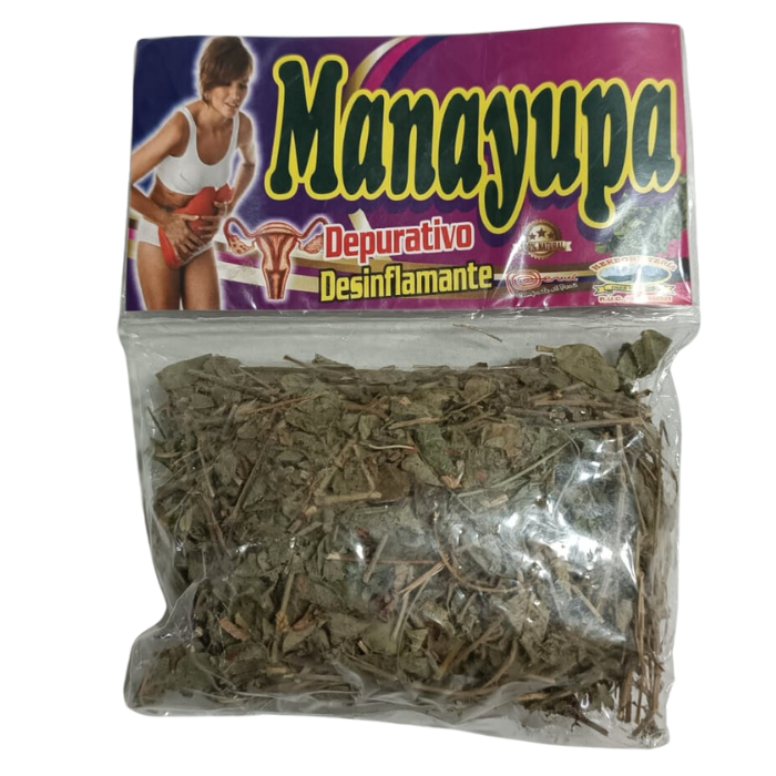 [MNH593] Manayupa Hierba - H3R