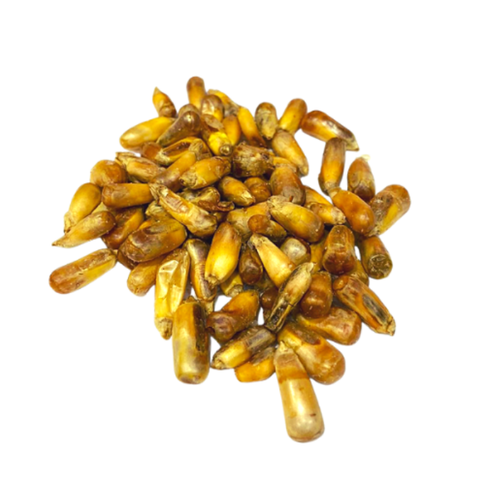 [MNH770] Cancha Chulpi MNH - 100g