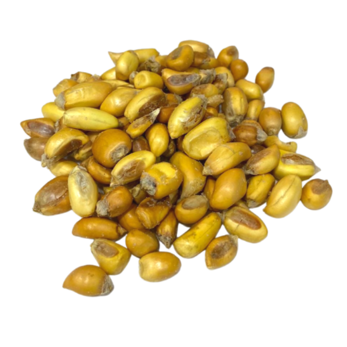 [MNH772] Cancha Serrana MNH - 100g