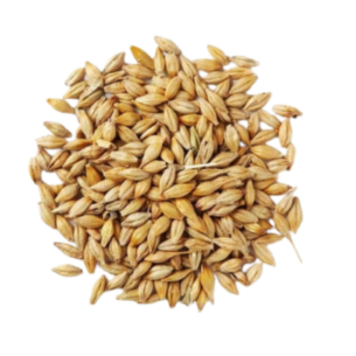 [MNH906] Cebada Tostada MNH - 100g