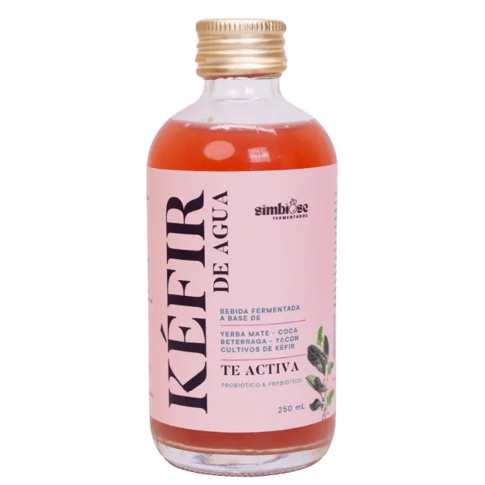 KEFIR DE AGUA TE ACTIVA 250ML SIMBIOSE