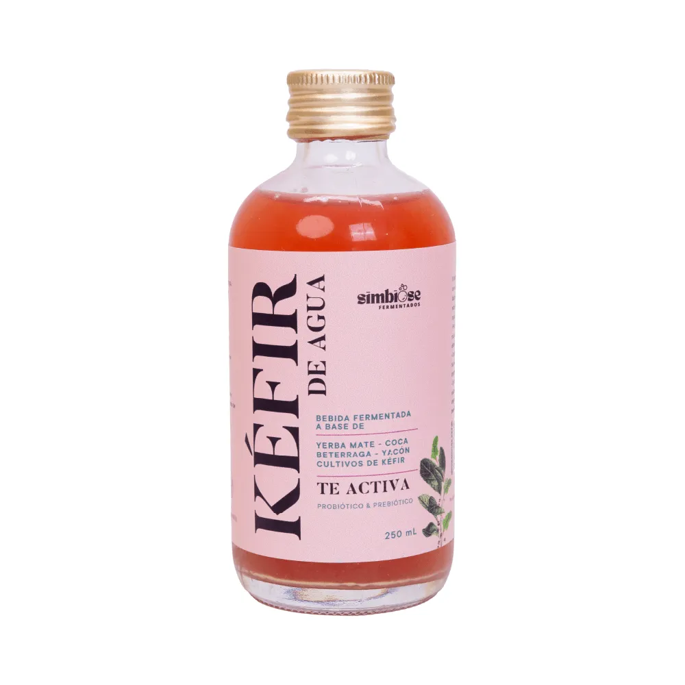 KEFIR DE AGUA TE ACTIVA 250ML SIMBIOSE